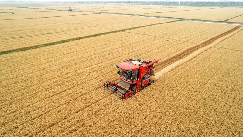 Una inmobiliaria cambia casas por trigo