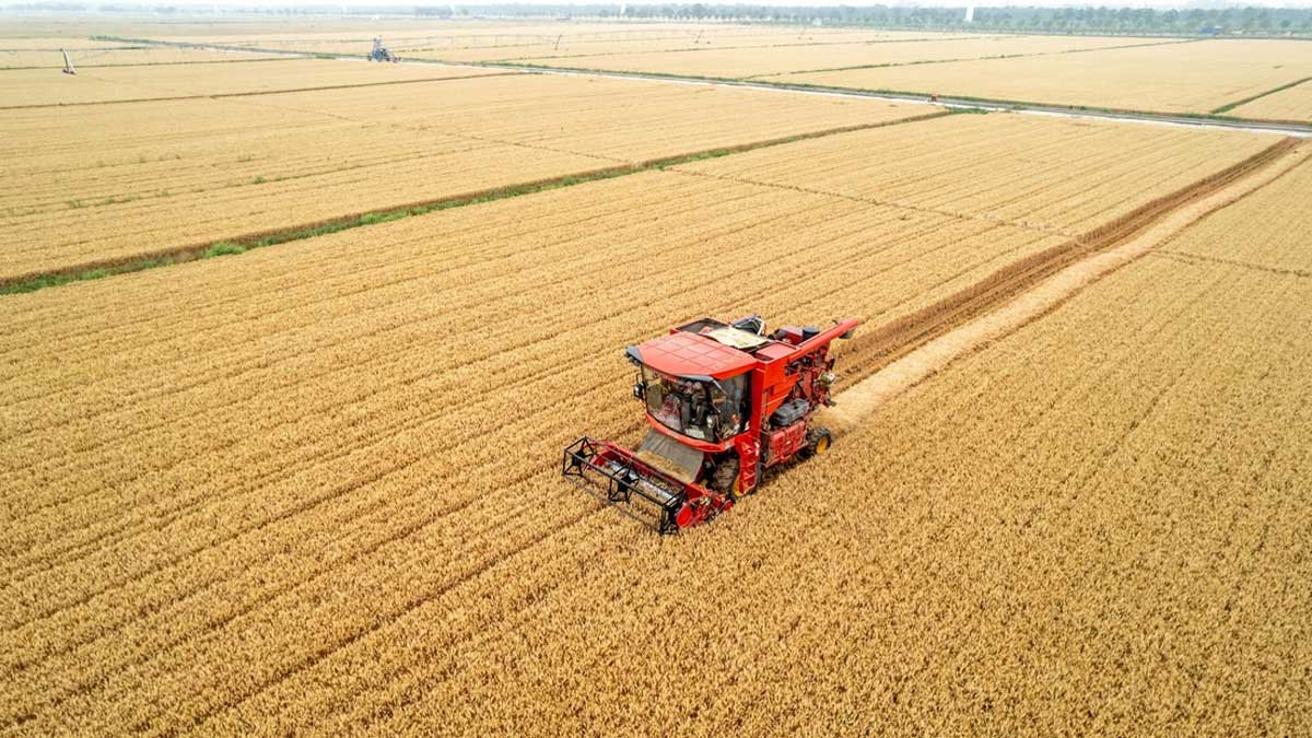 Una inmobiliaria cambia casas por trigo