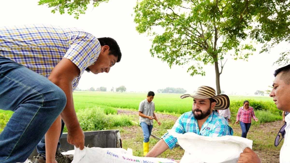 Arranca Plan Semilla: MAG subvenciona $14 millones en insumos