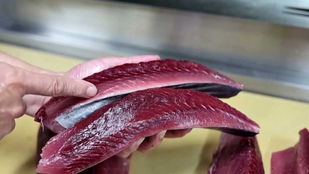 El pescado graso ‘katsuo’ tiene una creciente demanda en el mercado