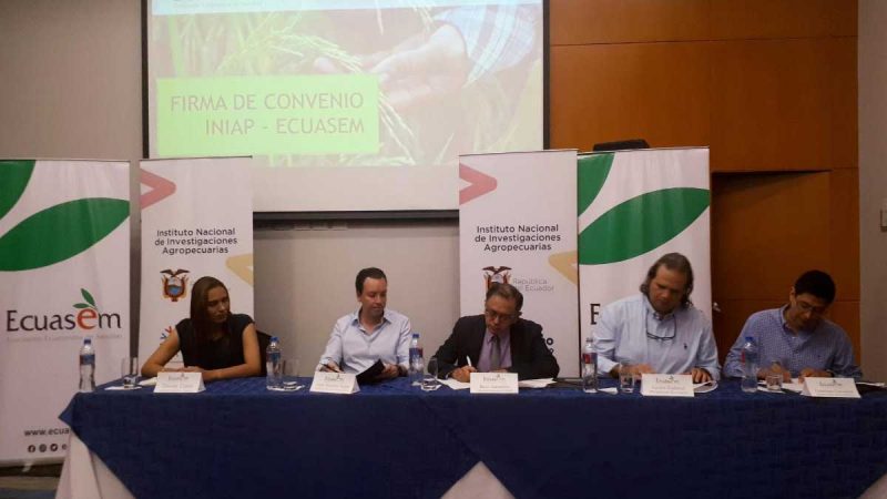 INIAP firma convenio con Ecuasem para fortalecer al sector arrocero