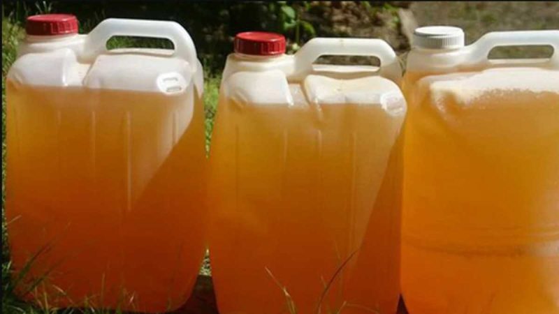 La orina podría ser el fertilizante del futuro en la agricultura