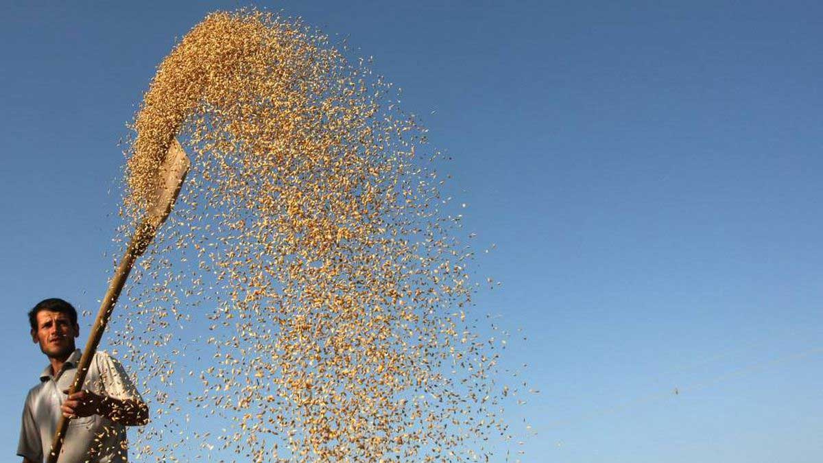 Las exportaciones de cereales por el mar Negro se discutirán este miércoles