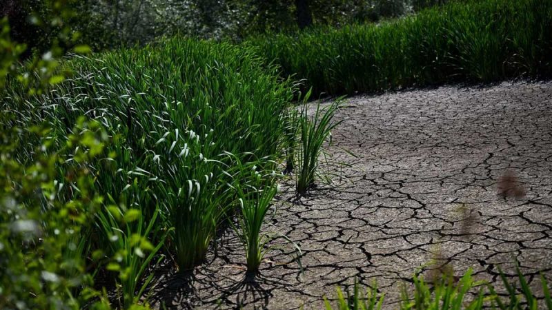Las sequías obligan a conservar más el agua