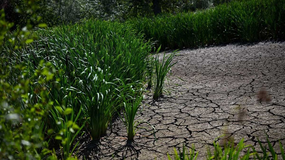 Las sequías obligan a conservar más el agua