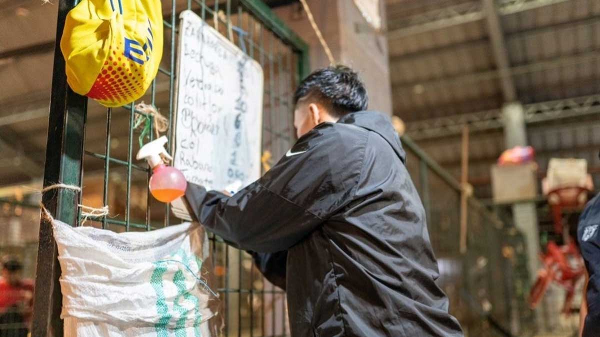 Mercados del país comienzan a abastecerse