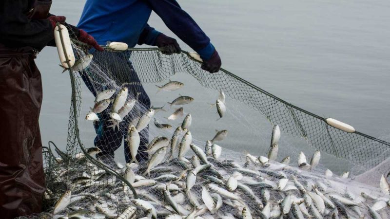 Muisne será sede del encuentro de Slow Fish de América Latina y el Gran Caribe