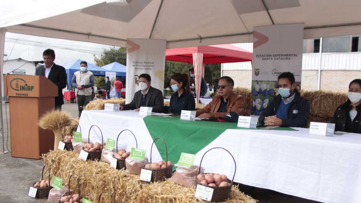 INIAP presenta las nuevas variedades de papa y cebada