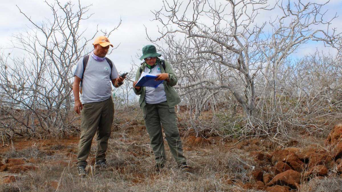 Iguanas terrestres y cactus fueron monitoreados por la DPNG