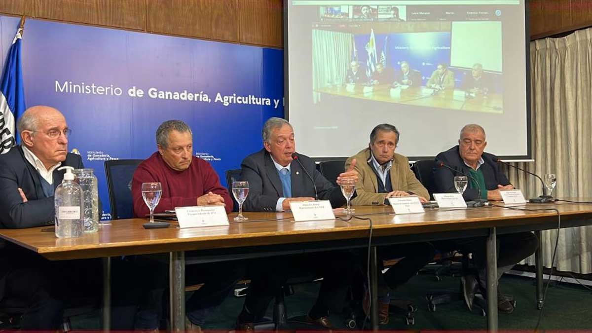 Programa de Erradicación de la Mosca de la Bichera iniciará en el 2023