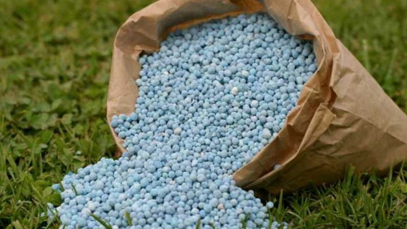 Rusia se convierte en el principal proveedor de fertilizantes de la India en medio de las sanciones de Occidente