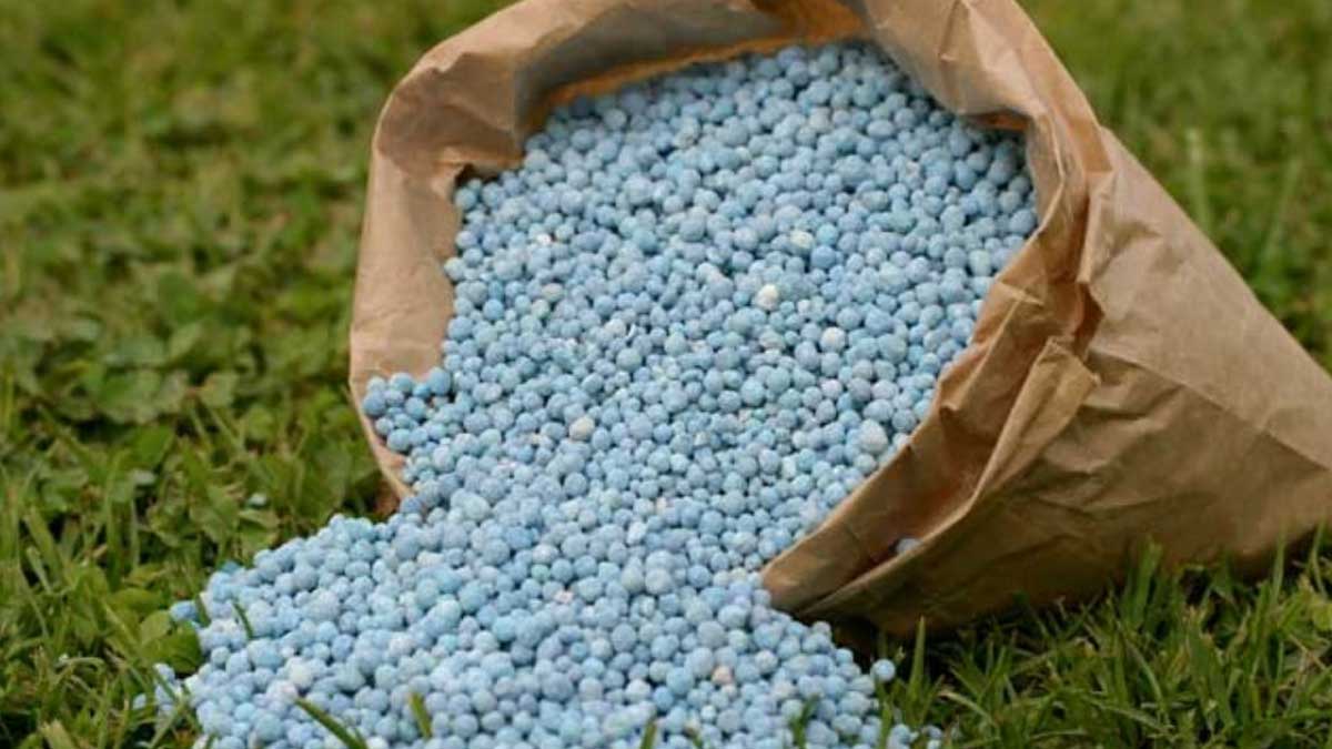 Rusia se convierte en el principal proveedor de fertilizantes de la India en medio de las sanciones de Occidente