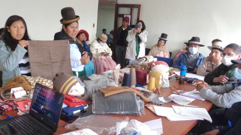 Se aprobaron Planes de Negocio de los rubros de fibra de camélidos