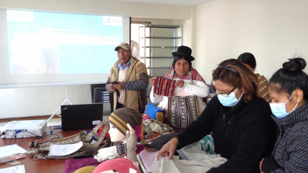 Mapa incautó aceite de oliva fraudulento