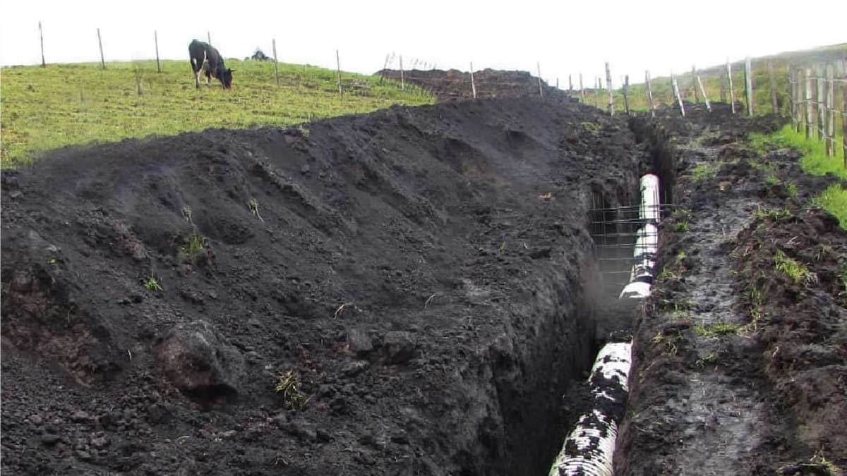 Se mejora acequias de riego en Píllaro