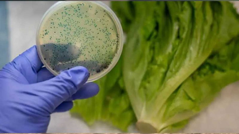 Se realizan investigaciones sobre alimentos y nutrición mantenidos por el ARS