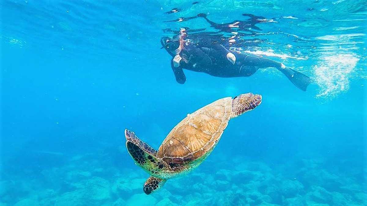 Se recupera el turismo en Galápagos