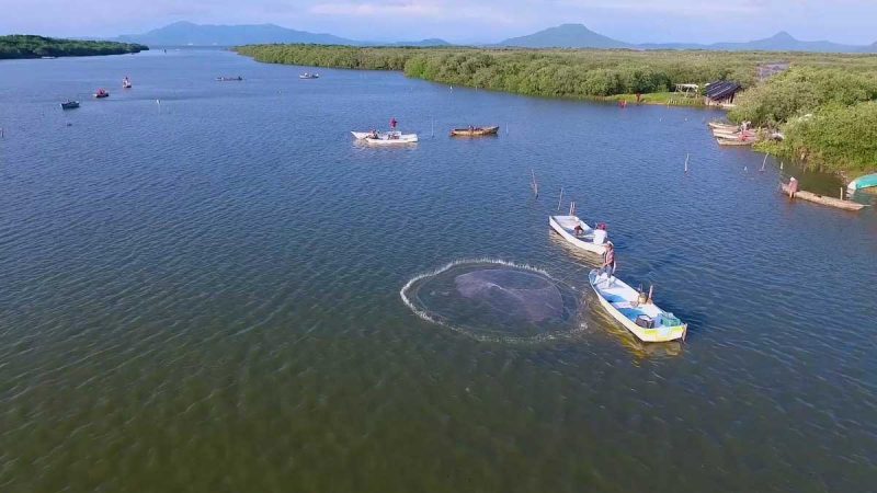 Secretaría de Agricultura realiza la actualización de la Carta Nacional Pesquera