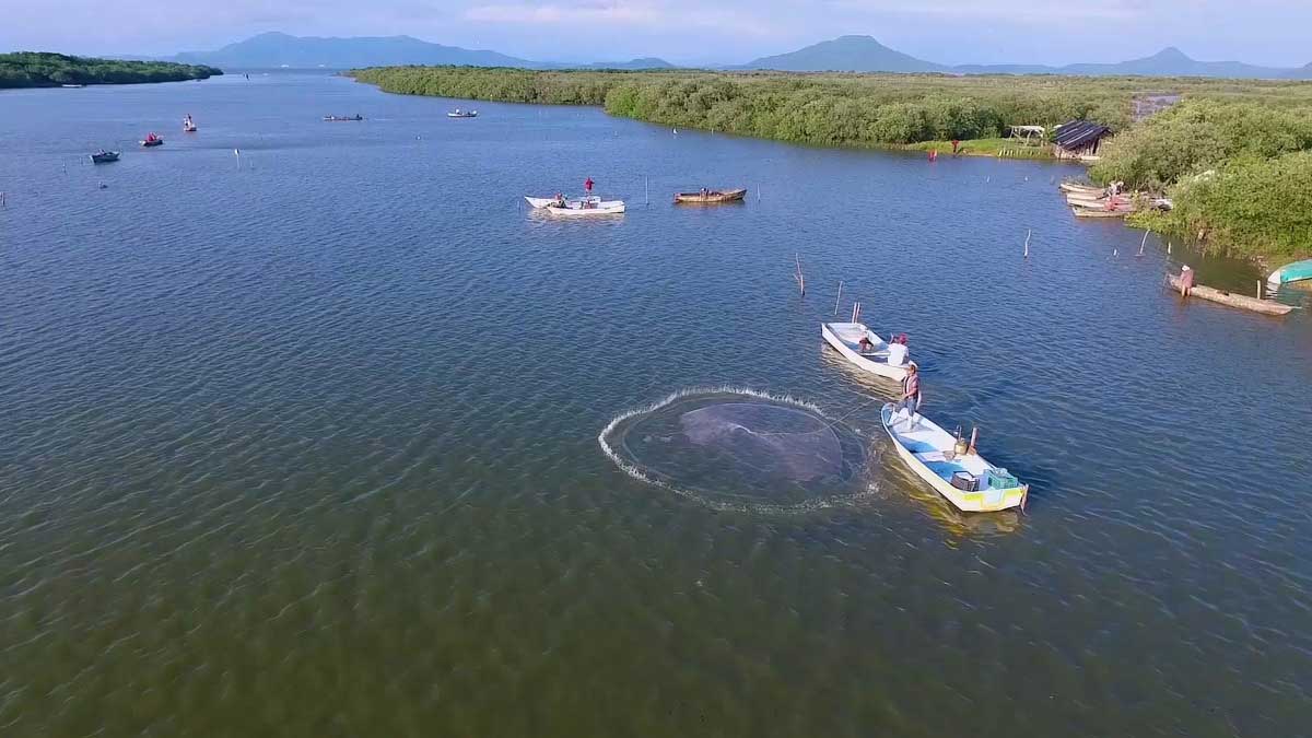 Secretaría de Agricultura realiza la actualización de la Carta Nacional Pesquera