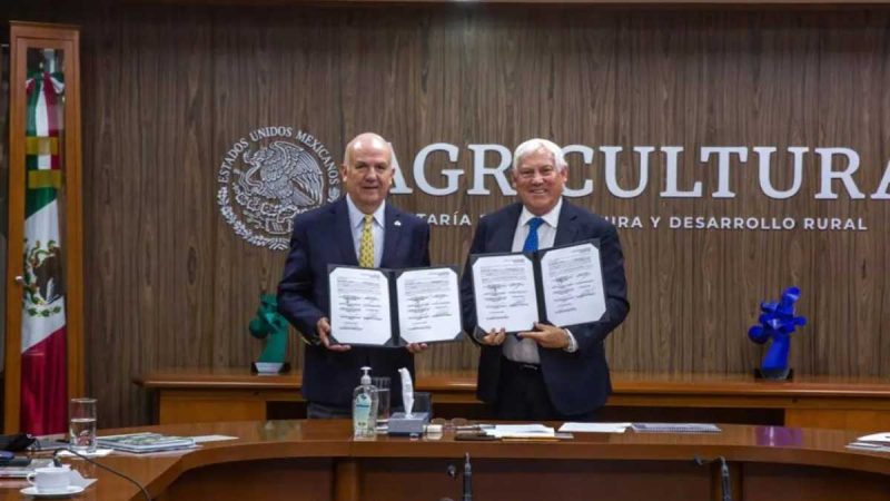 Tiendas de autoservicios fomentarán la producción y proveeduría de flores y plantas