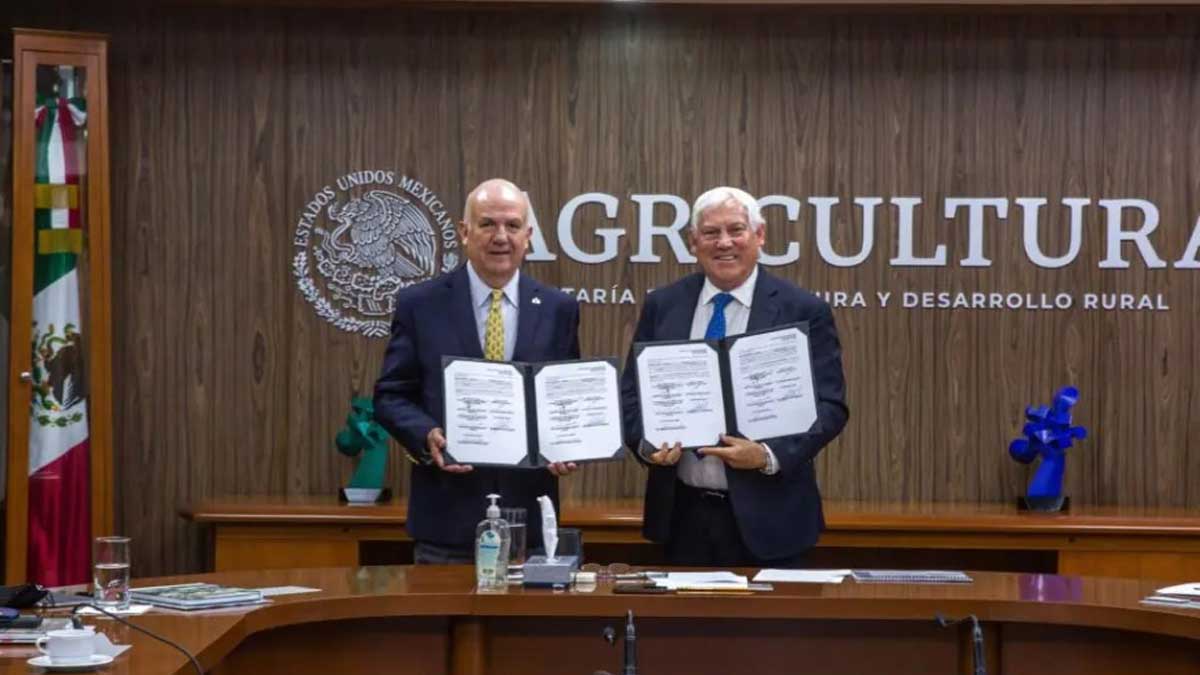 Tiendas de autoservicios fomentarán la producción y proveeduría de flores y plantas