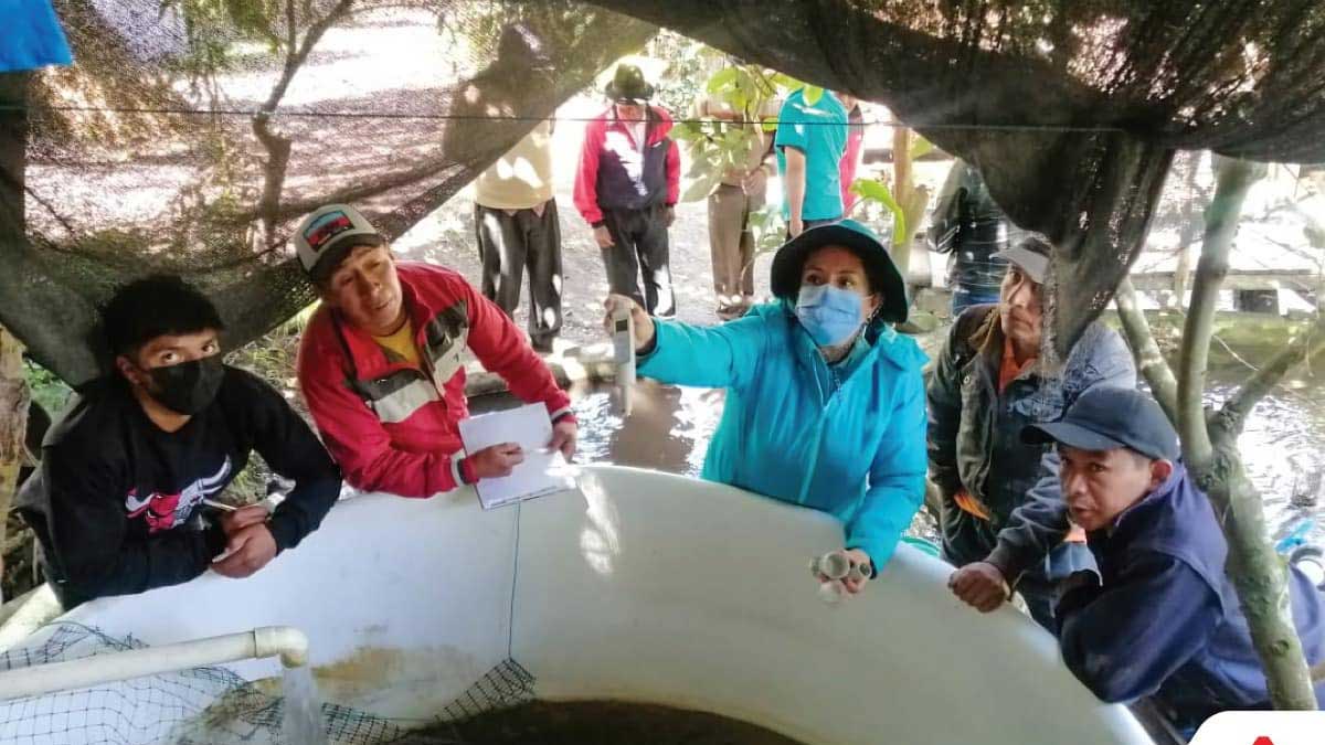 Se entregó plantas nativas a diferentes comunas de la provincia