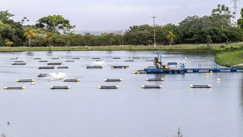 Aumentan las exportaciones de pescado