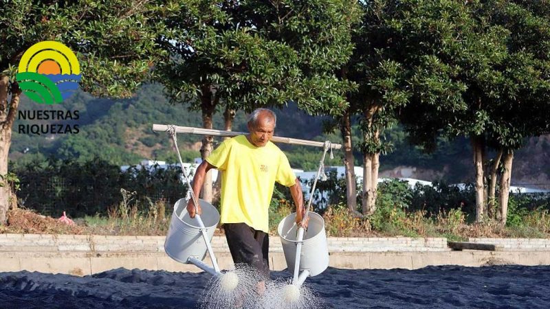 Autoridades toman medidas para garantizar el suministro de agua y energía