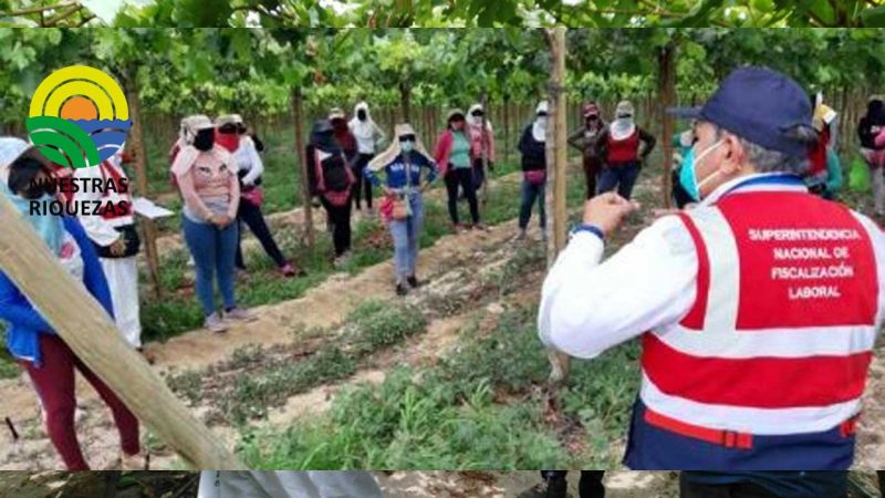 Autorizan adquirir terreno para establecer centro de enseñanzas agropecuarias