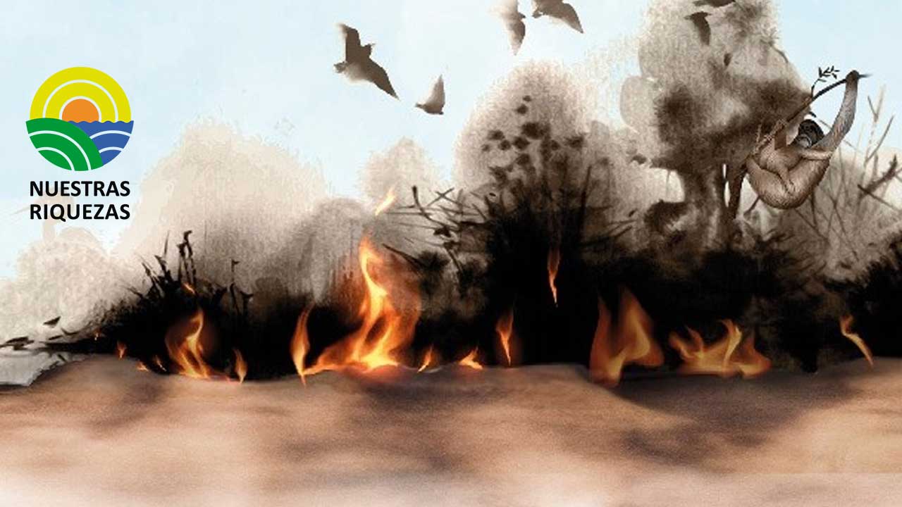 Bomberos de Guayaquil impulsan la campaña “Alto al fuego”