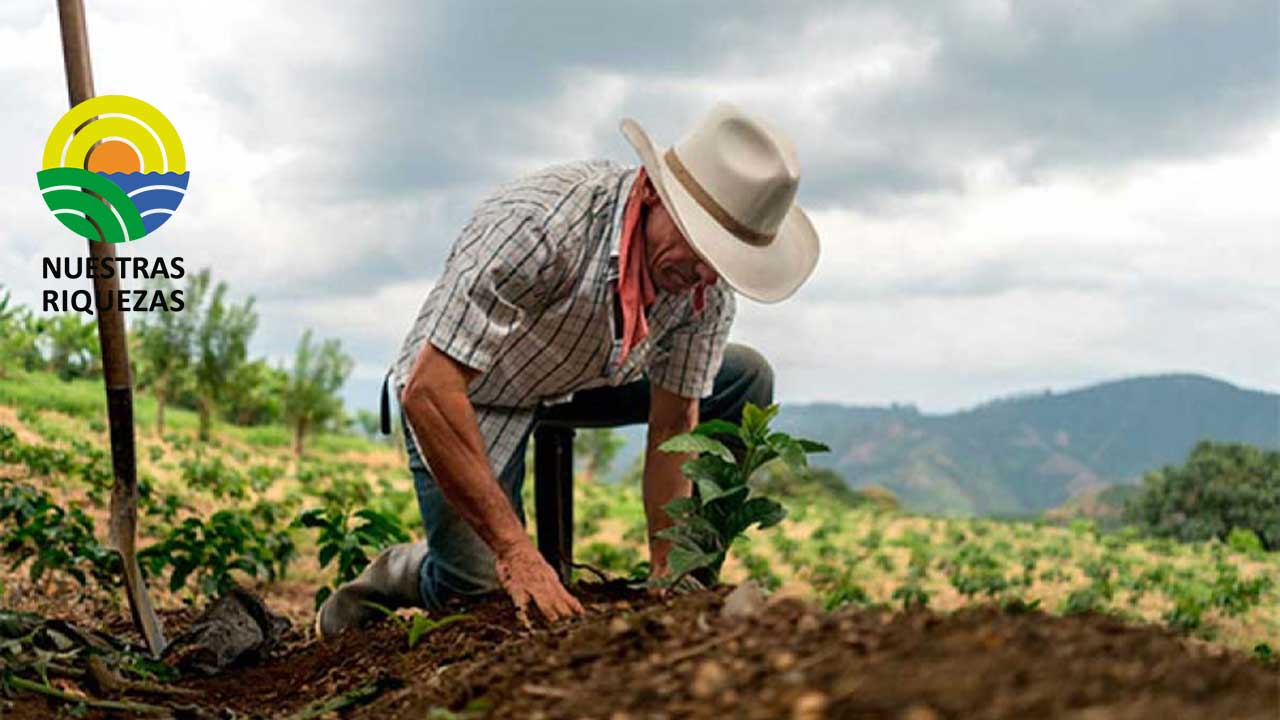 Campesinos piden condonar sus deudas