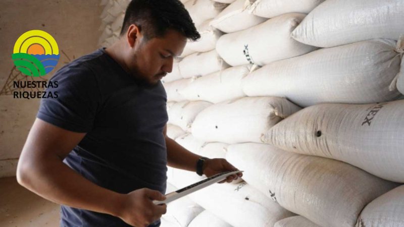 Con préstamos de semillas se benefician los productores de frijol