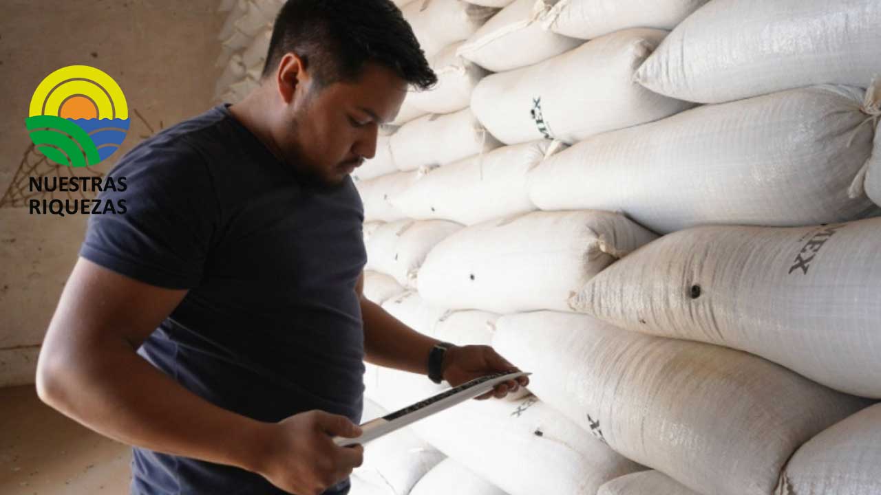 Con préstamos de semillas se benefician los productores de frijol