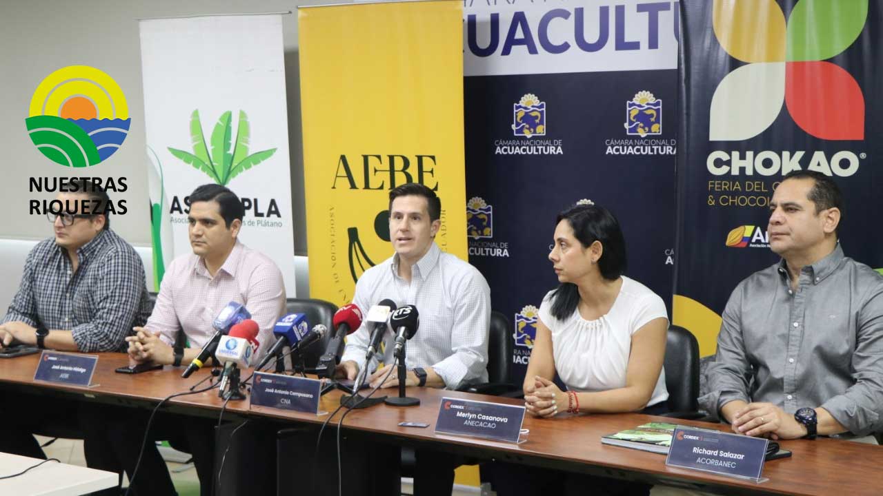 Cordex celebra su primer aniversario