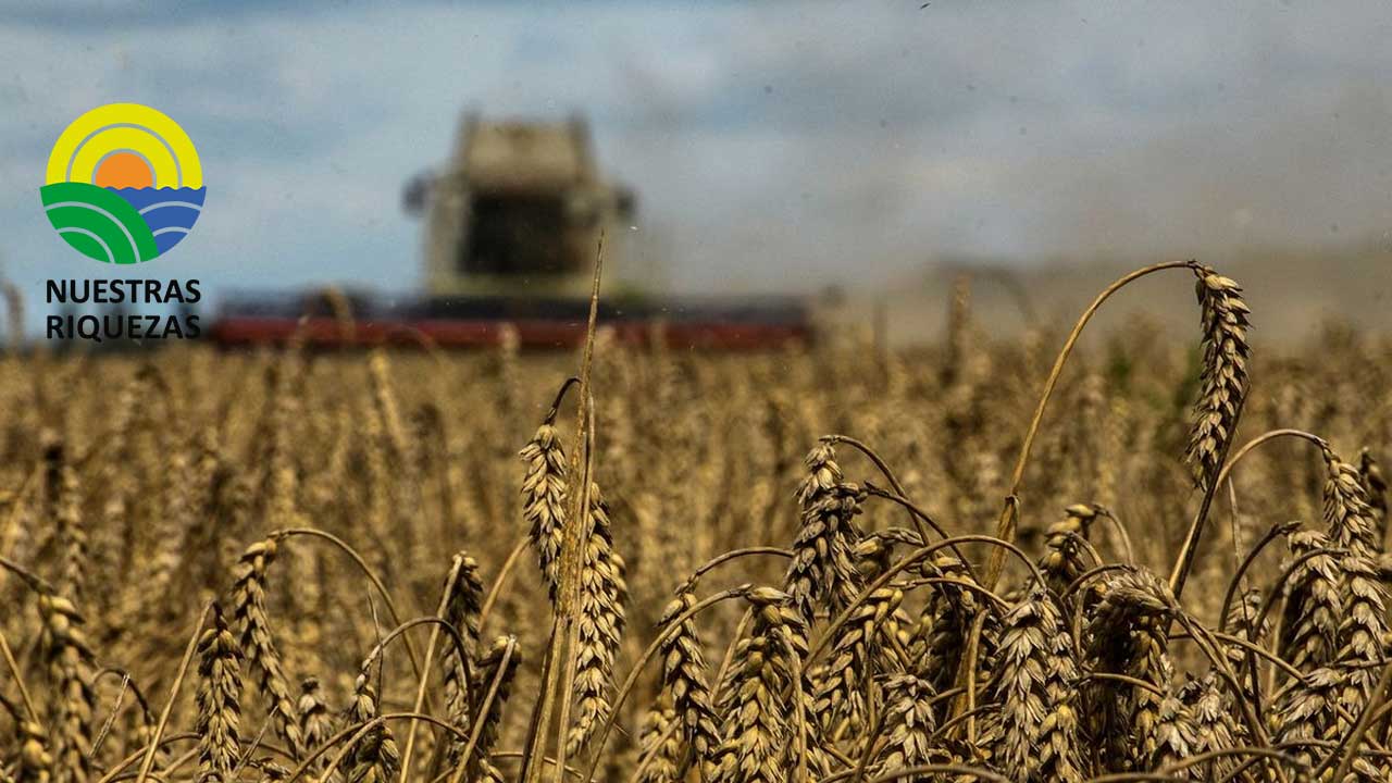 Cuatro barcos más salen de Ucrania, afirma el Ministerio de Defensa de Turquía