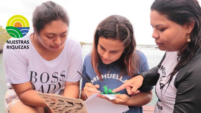 DPNG junto a estudiantes realizaron monitoreo de fauna marina