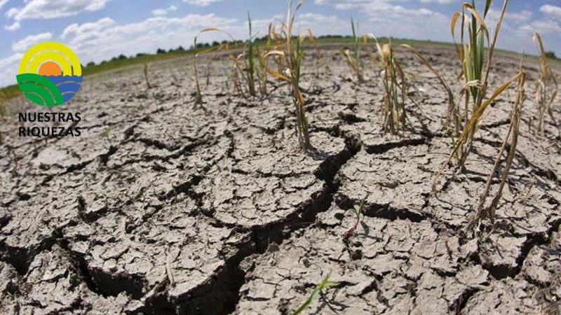 Destinan 30 millones de dólares para combatir la sequía