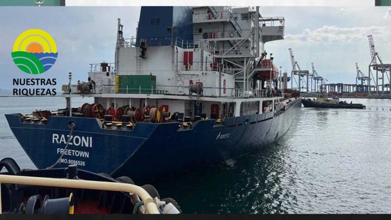 Dos buques de carga trasladaran cereales desde Ucrania