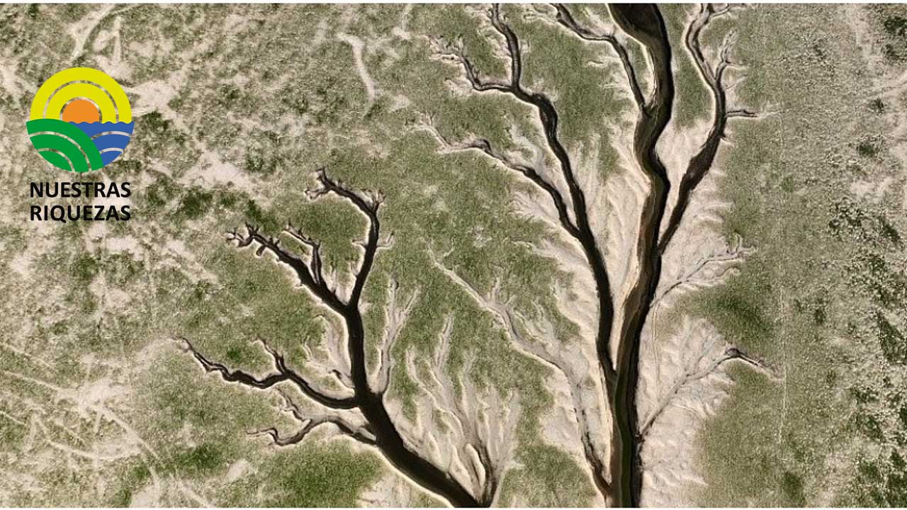 Emiten alerta roja por altas temperaturas durante 10 días consecutivos