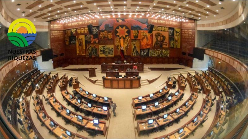 Entra en vigencia la Ley de Fomento Lechero