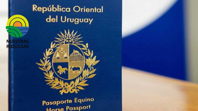 Equinos deberán tener un pasaporte ecuestre para sus traslados