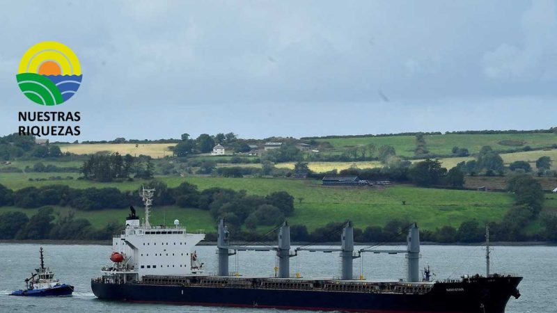 Exportaciones agrícolas podrían aumentar en agosto