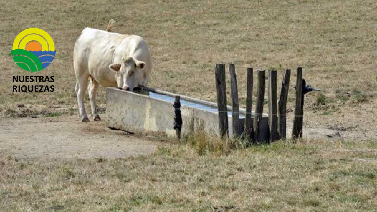 FNSEA advierte una posible escasez de leche