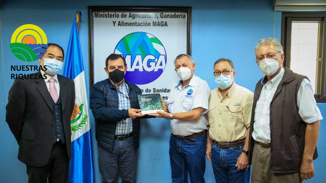 Fortalecen la agrocadena del bambú