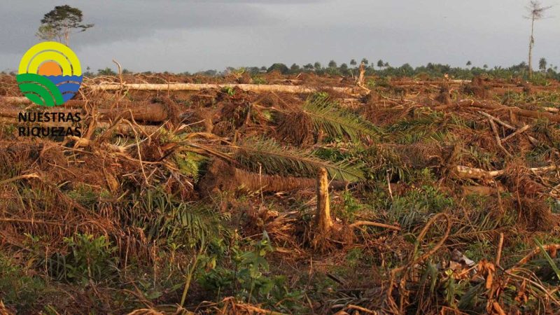 Fueron aprobadas dos leyes que protegerán los derechos de los terratenientes