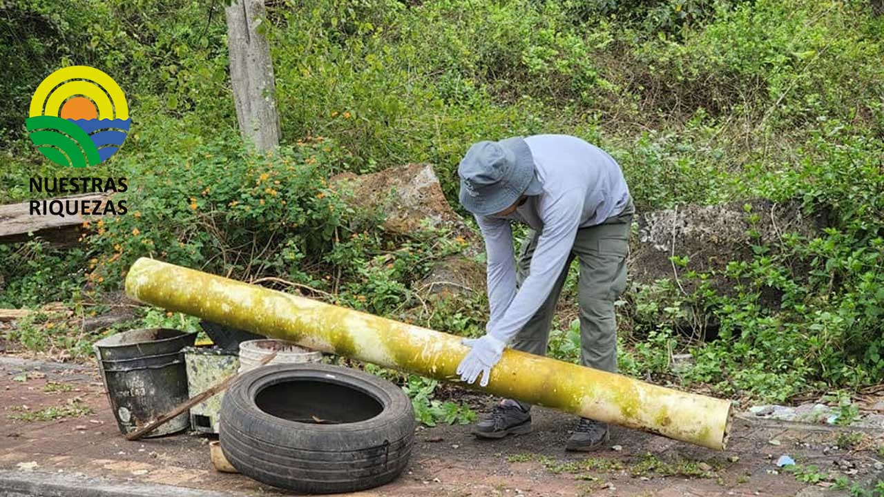 GAD de Santa Cruz organizó una minga de limpieza
