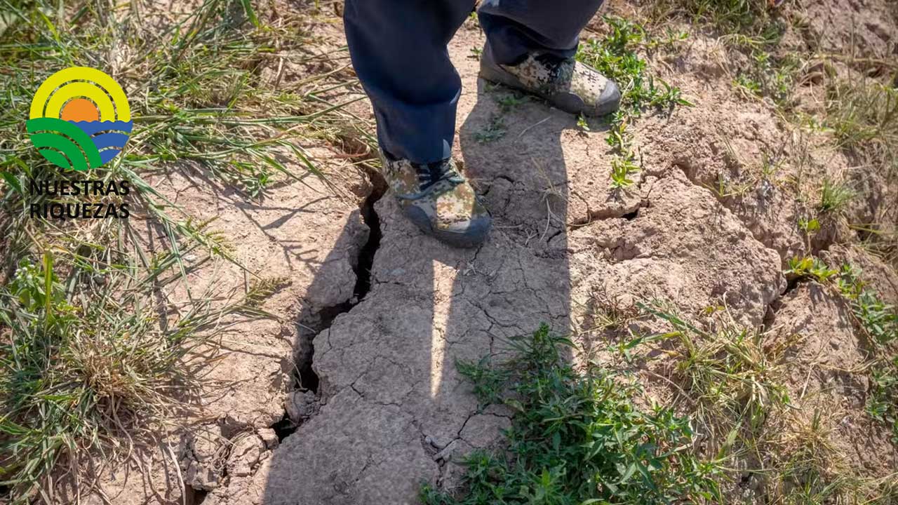 Gobierno pide a los agricultores que replanten o cambien de cultivo ante la sequía