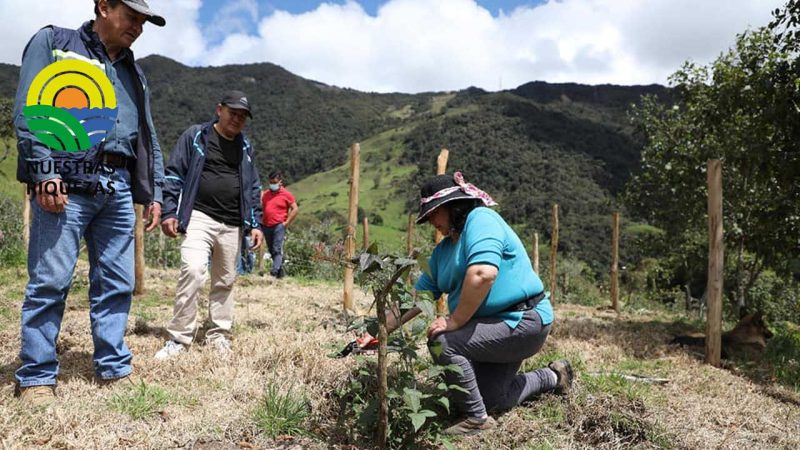 Habitantes de la parroquia Rivera recibieron herramientas e insumos para la producción de mora