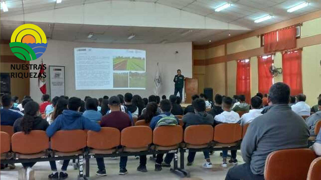 INIA Piura realiza curso de manejo agronómico del arroz
