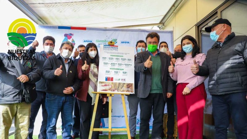 Incrementa la siembra de la temporada 2022/23